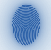 PROCESSO DE VERIFICAÇÃO